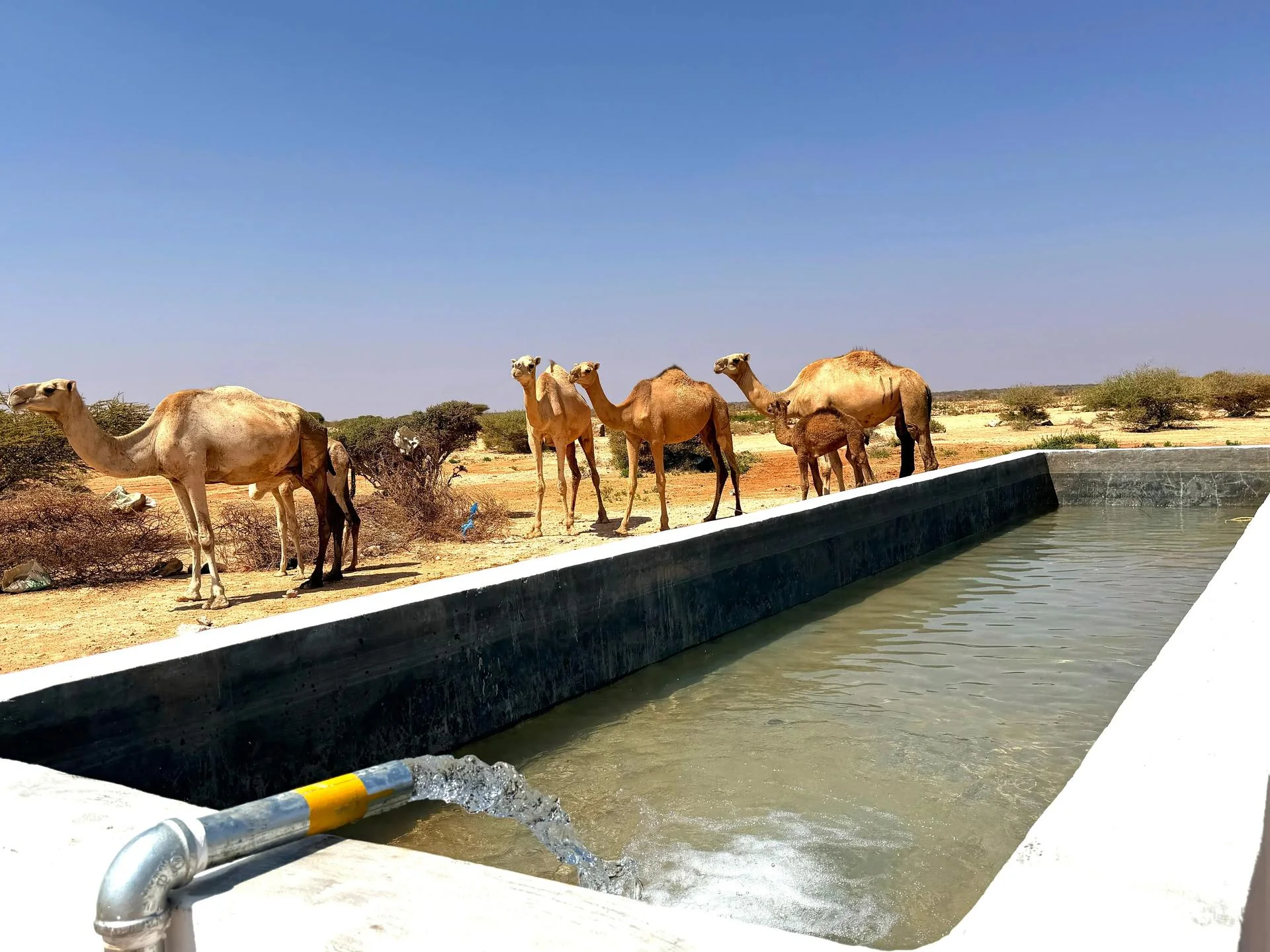 Climate-Resilient Solar-Powered Borehole Infrastructure